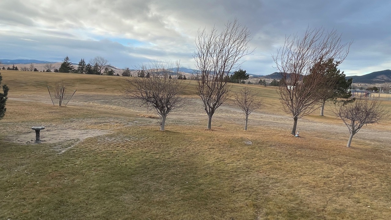 Photo of Others in Helena