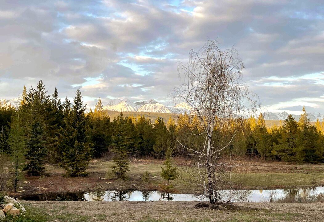 Photo of Others in Polebridge