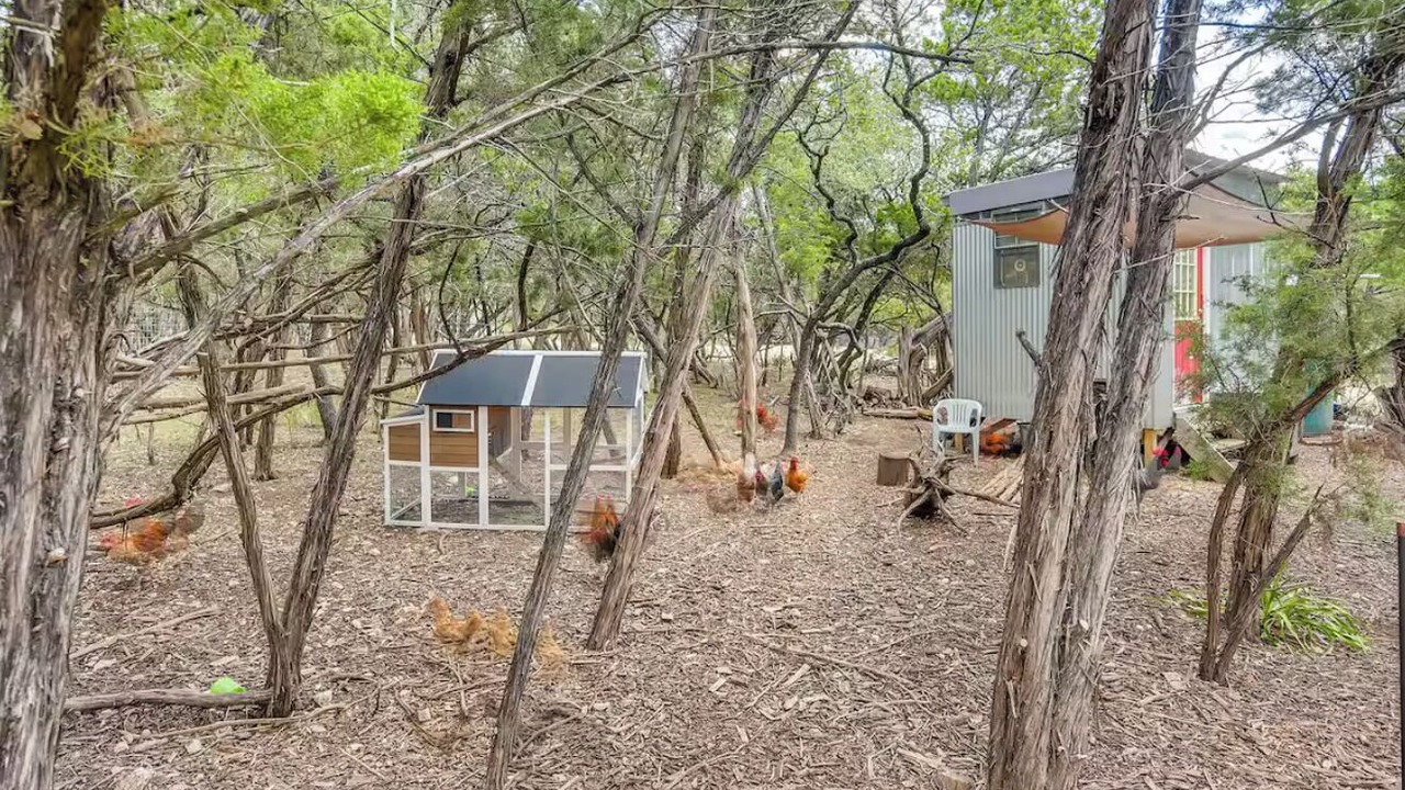 Photo of Outdoor in Austin
