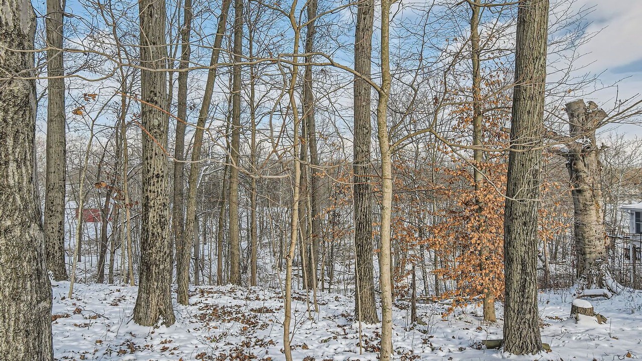 Photo of Others in Delaware