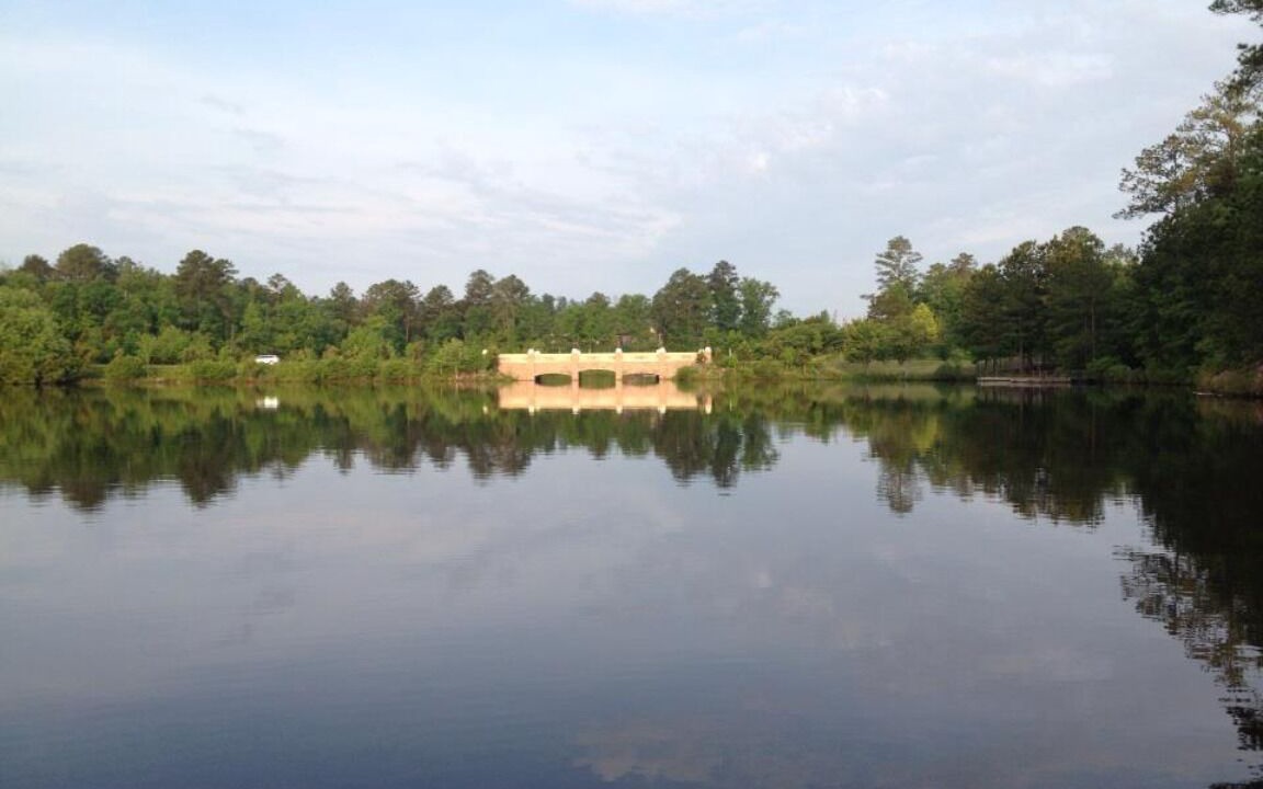 Photo of Others in Lake Carolina