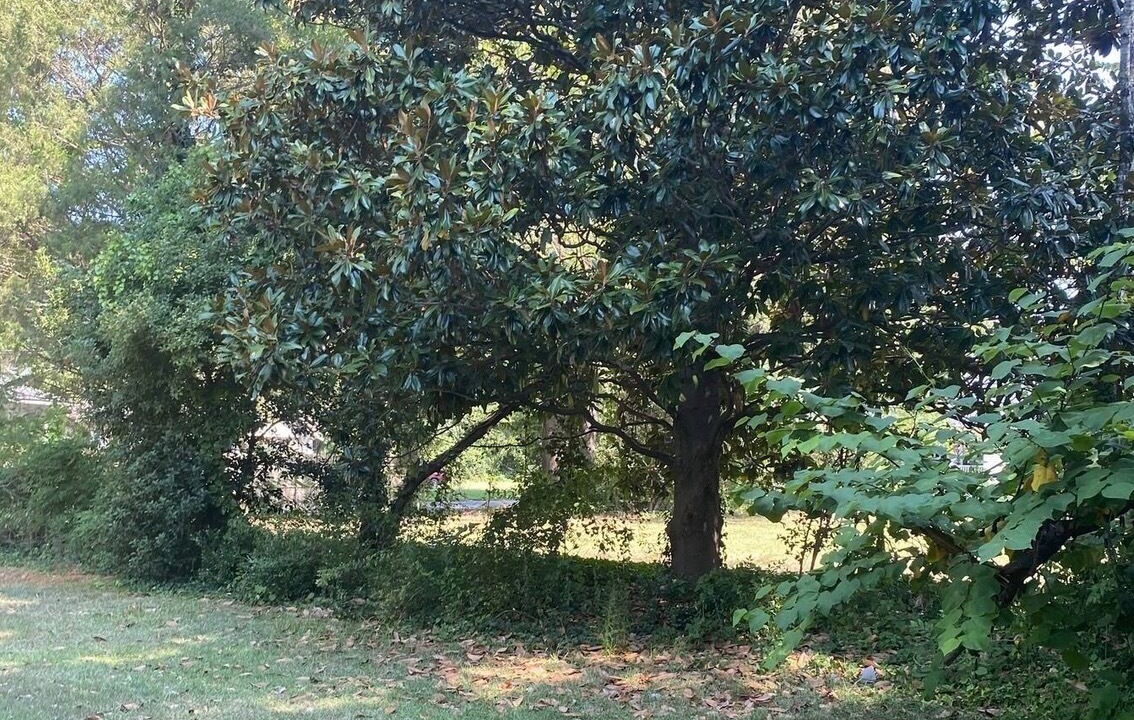 Photo of Outdoor in Chester