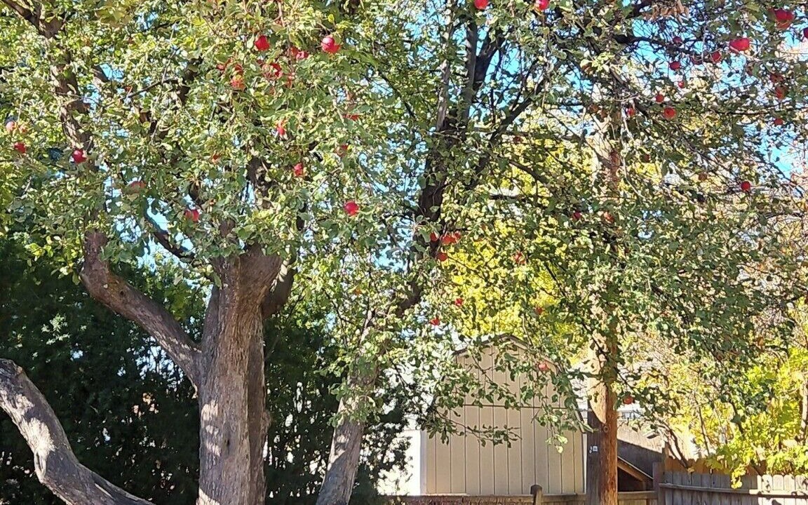 Photo of Others in Idaho Falls