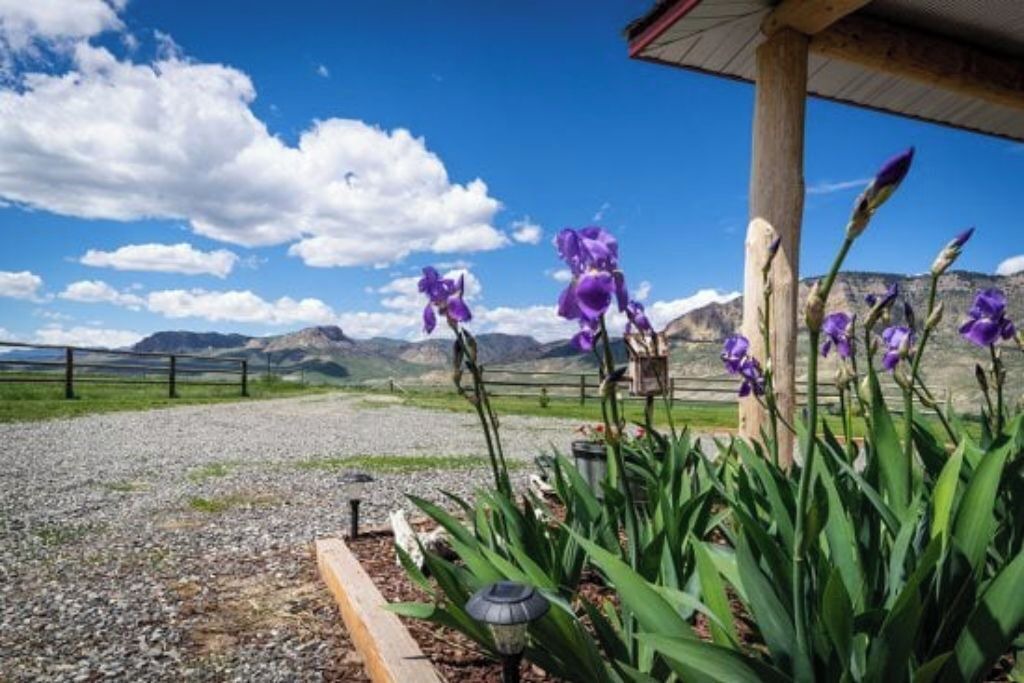 Photo of Outdoor in Cody