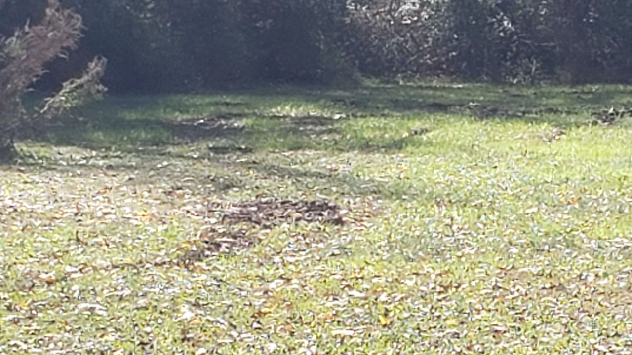 Photo of Others in East Spencer
