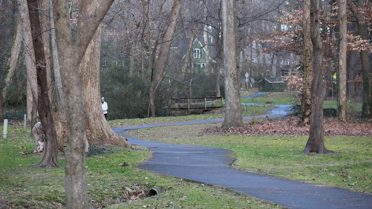 Photo of Others in Cary