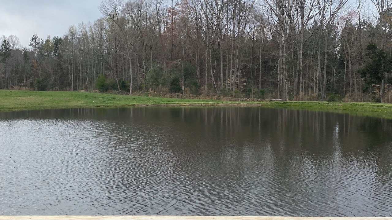 Photo of Outdoor in Siler City