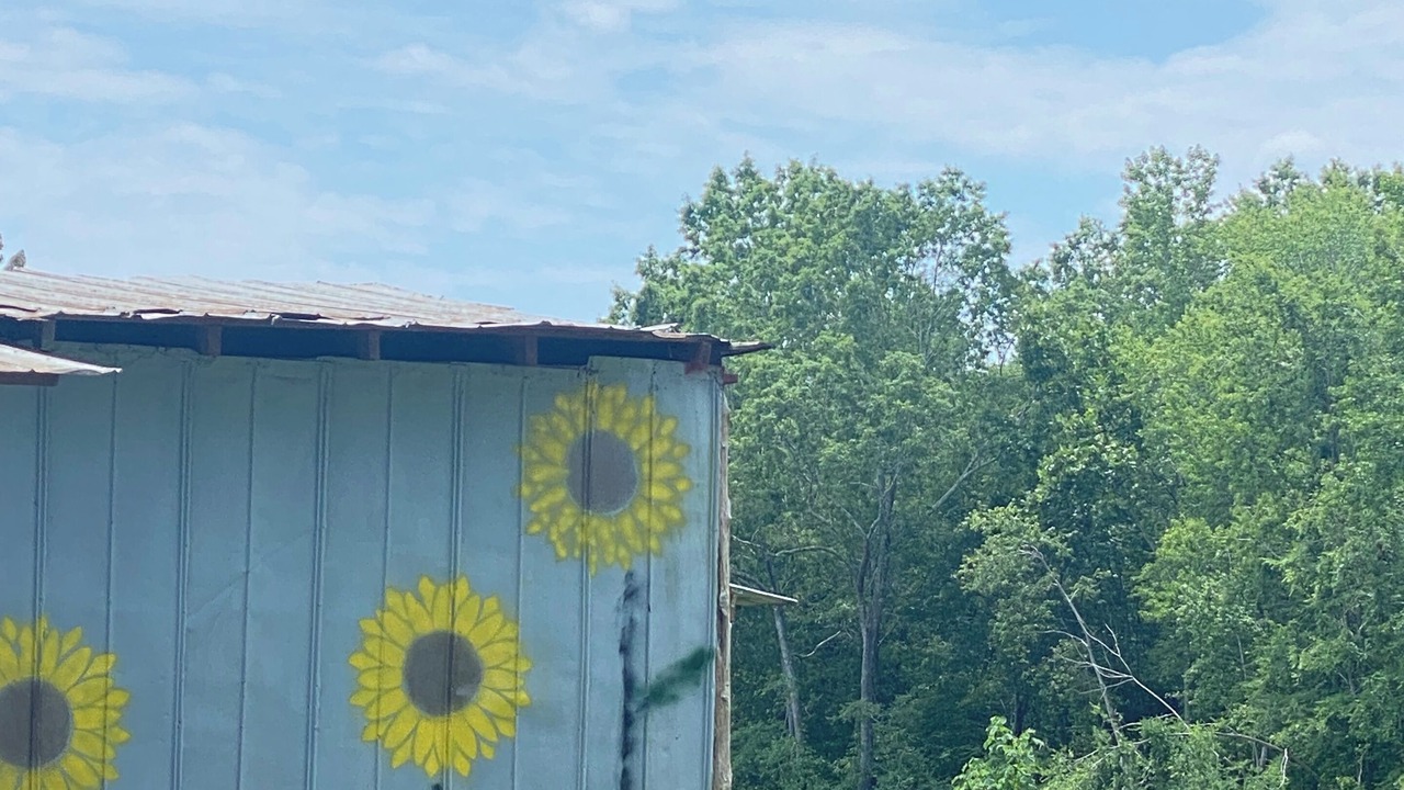 Photo of Others in Siler City