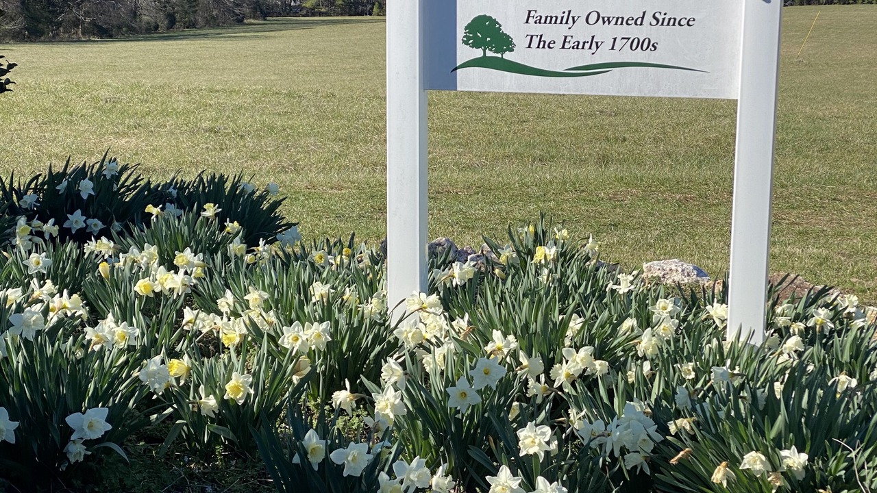 Photo of Outdoor in Siler City