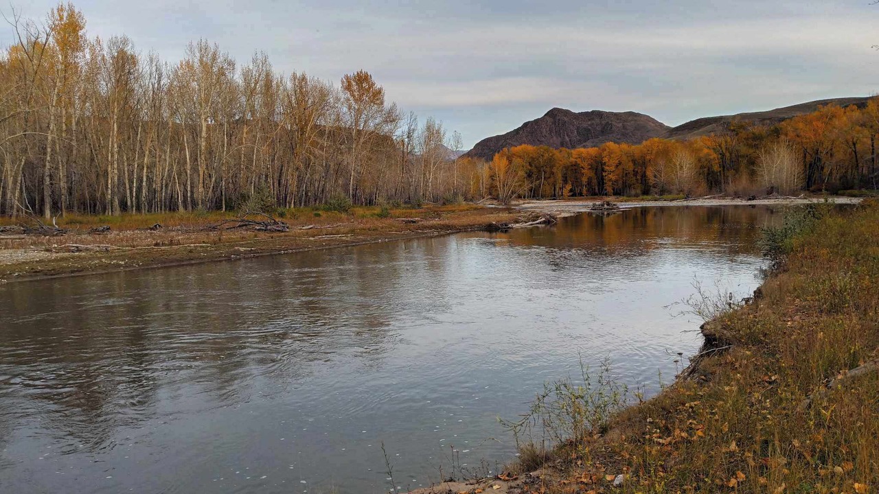 Photo of Others in Custer County