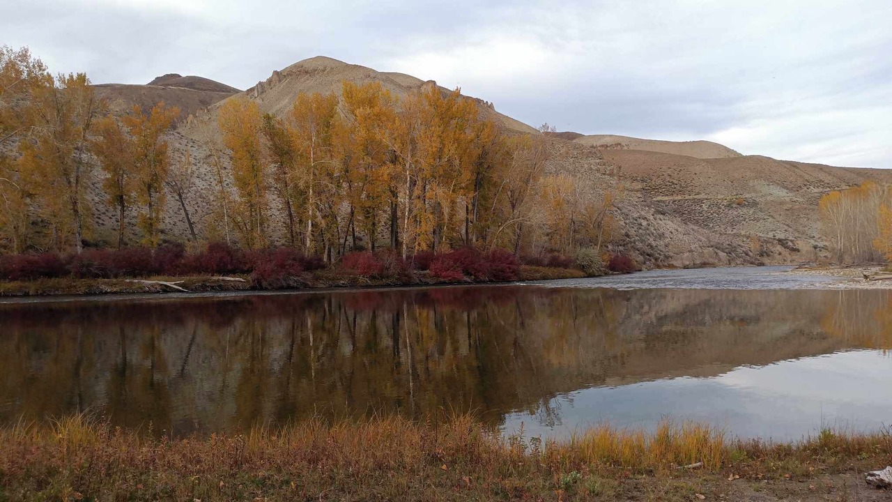 Photo of Others in Custer County