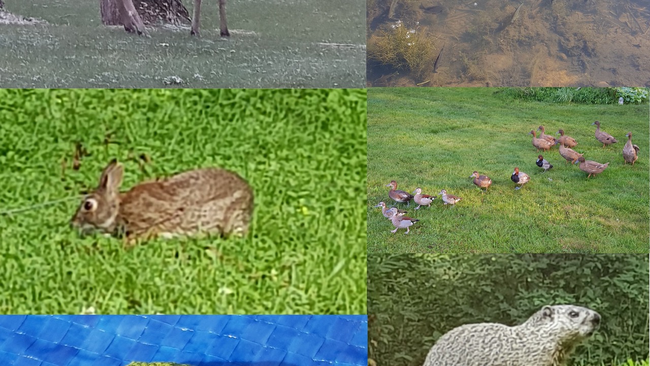 Photo of Others in Medina