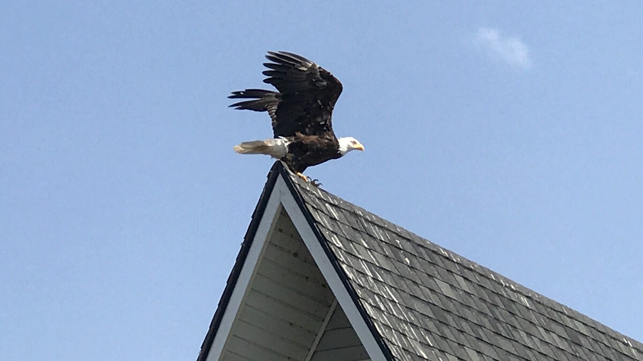 Photo of Others in Oak Harbor