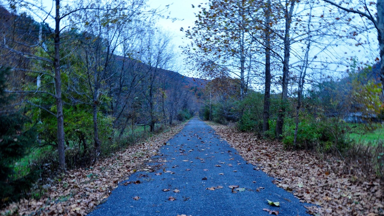 Photo of Others in Jersey Mills