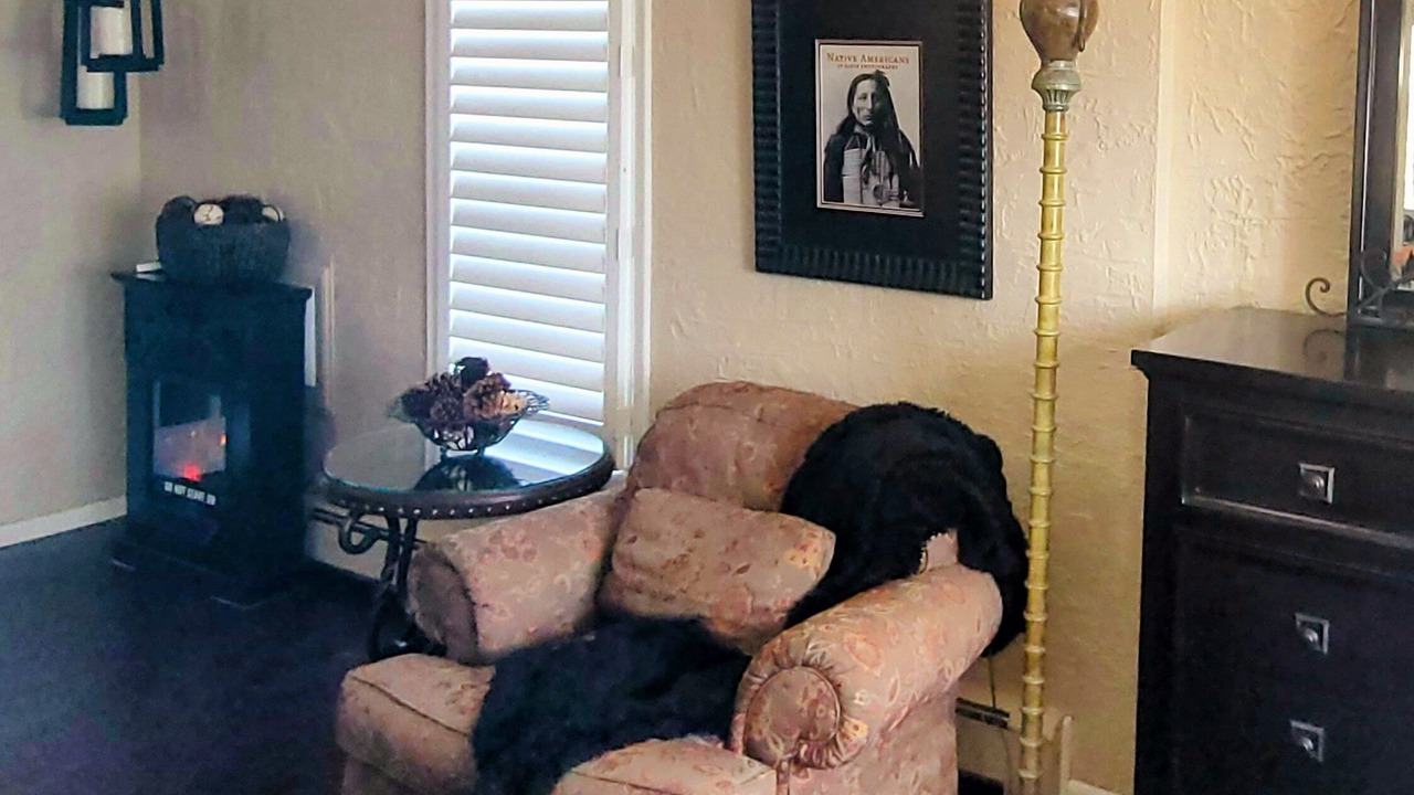 Photo of Bedroom in Cody