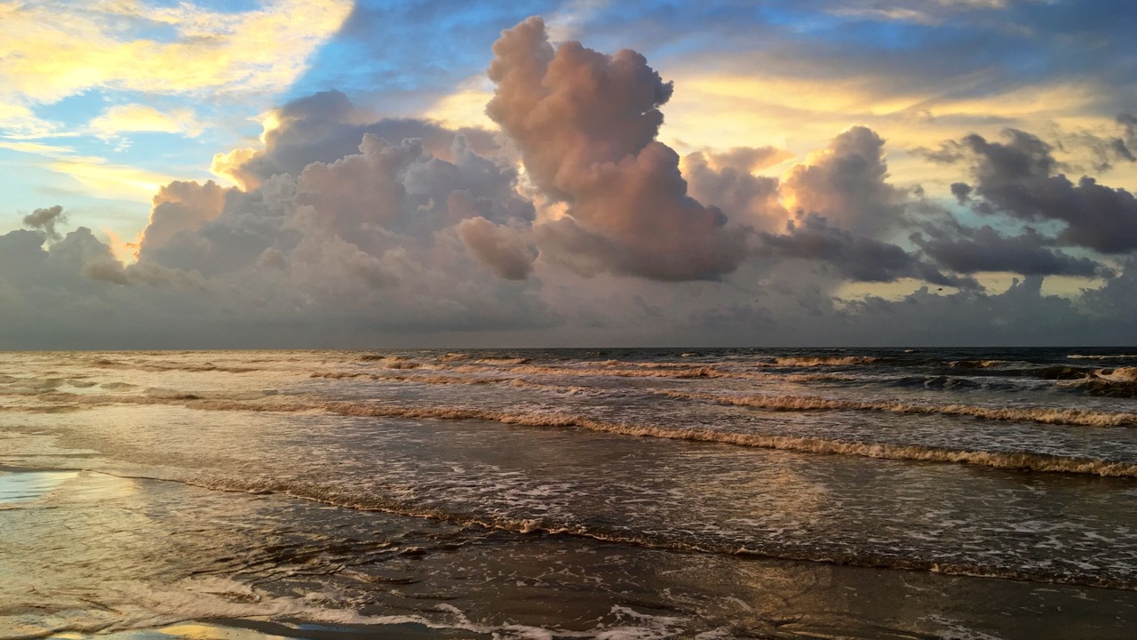 Photo of Others in Galveston
