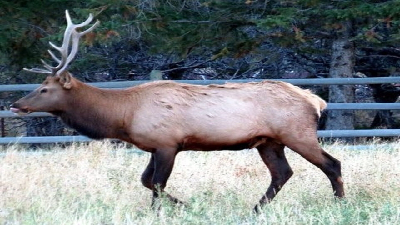 Photo of Others in Gardiner