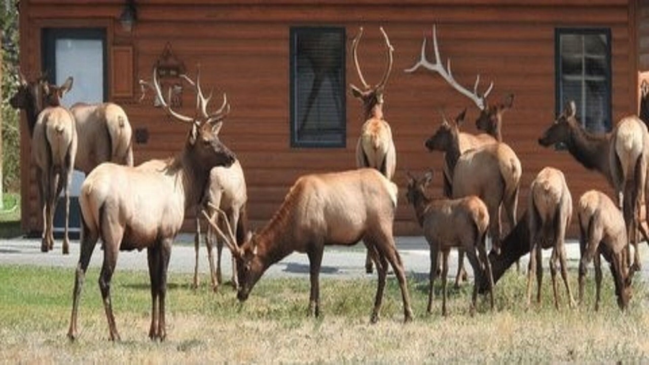 Photo of Others in Gardiner
