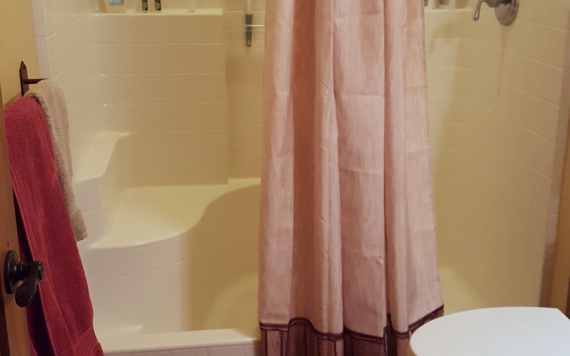 Photo of Bathroom in Stevensville