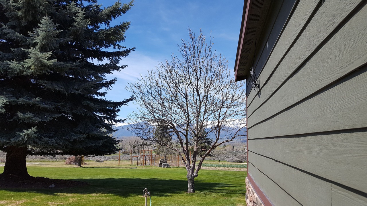 Photo of Outdoor in Stevensville