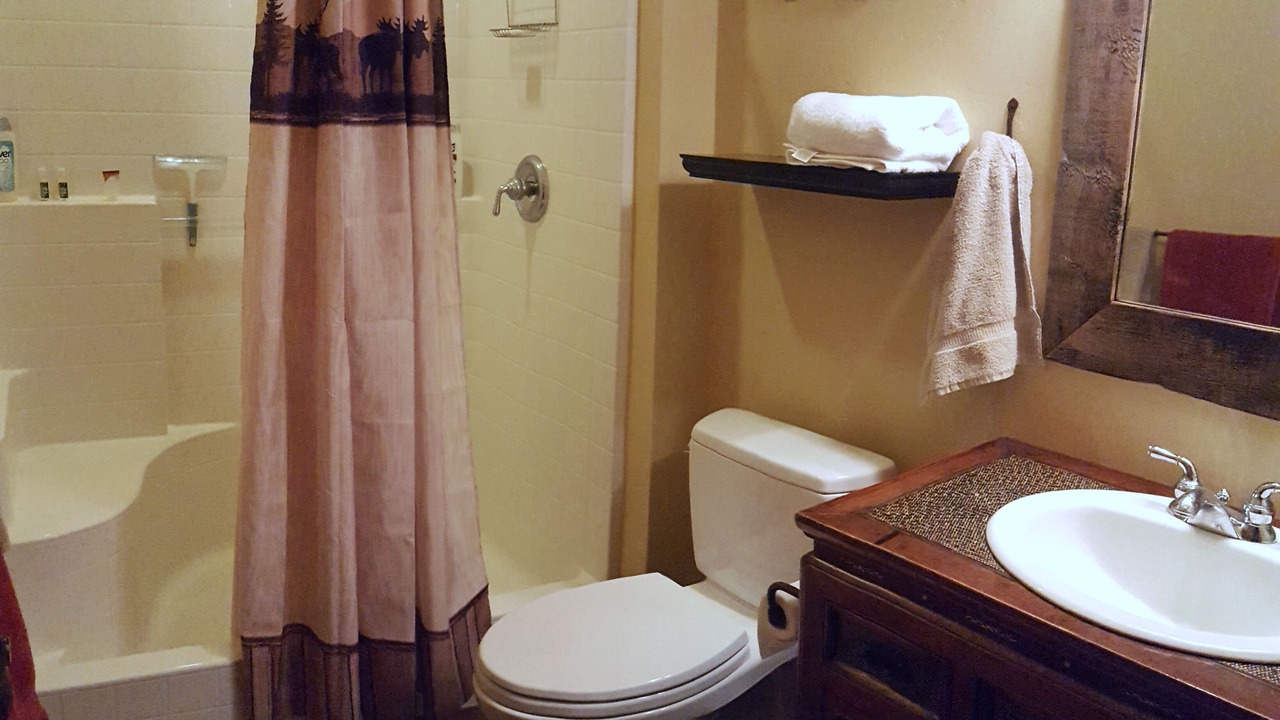 Photo of Bathroom in Stevensville