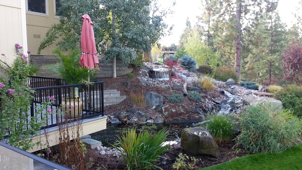 Photo of Outdoor in Fairwood
