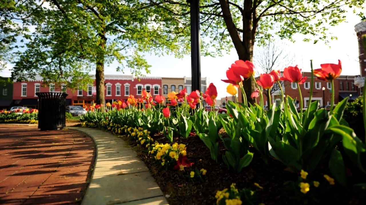 Photo of Outdoor in Downtown