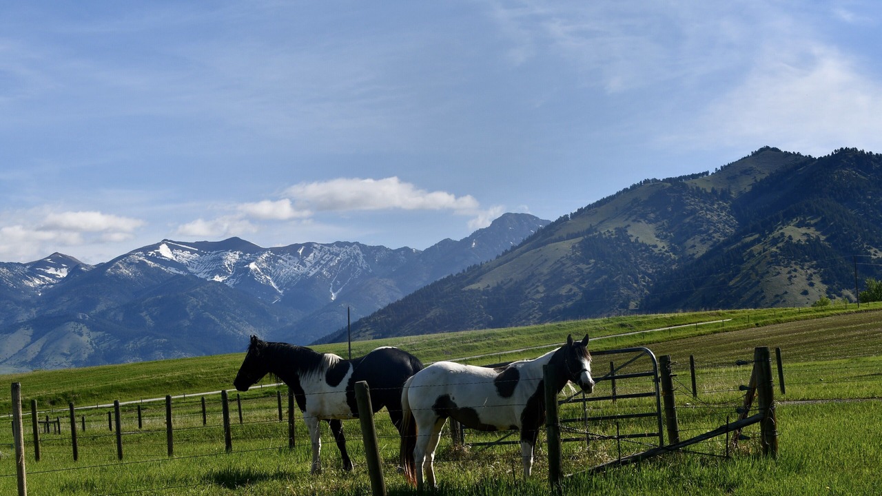 Photo of Others in Bozeman