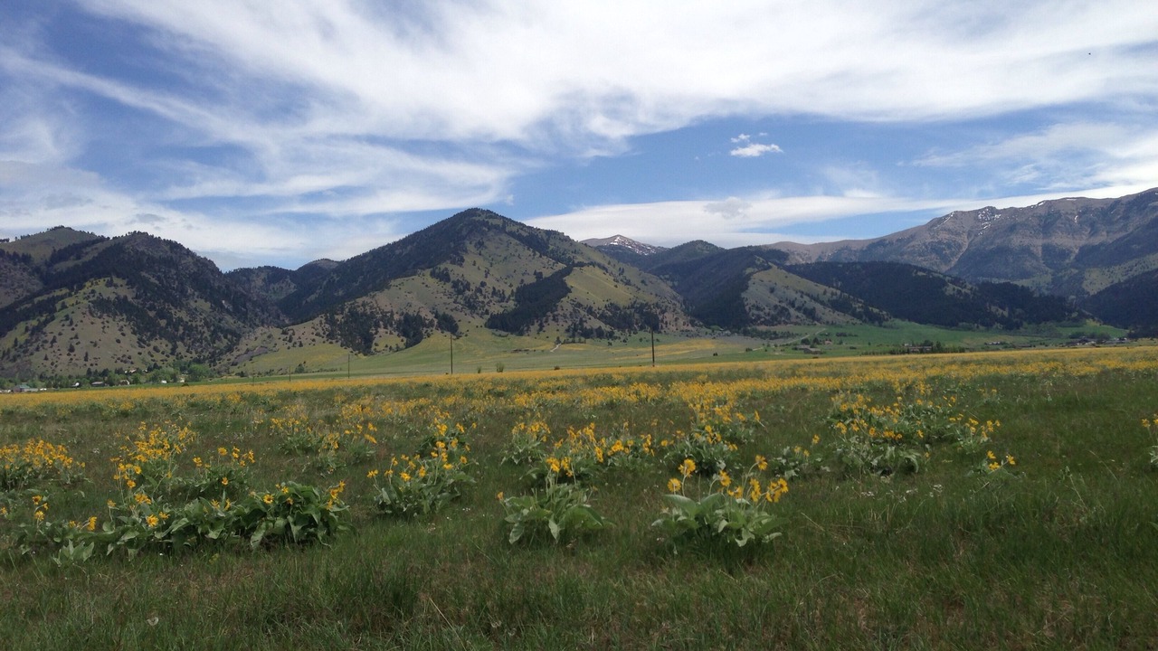 Photo of Others in Bozeman