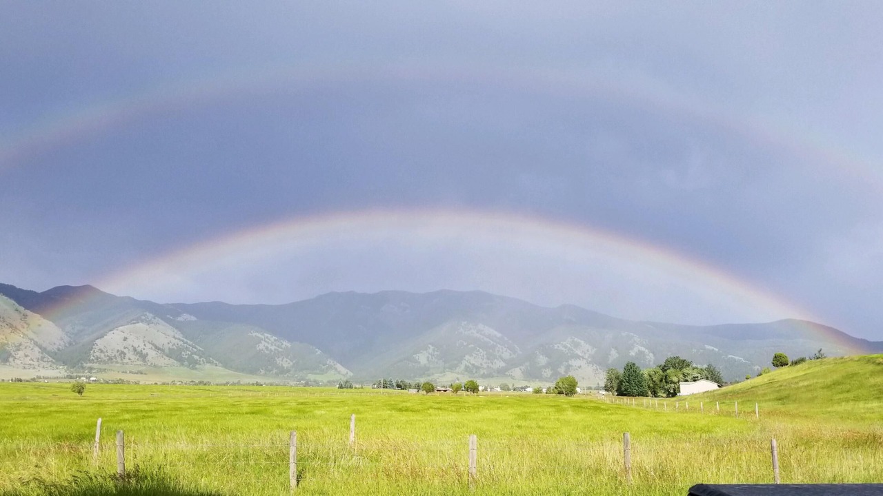 Photo of Others in Bozeman