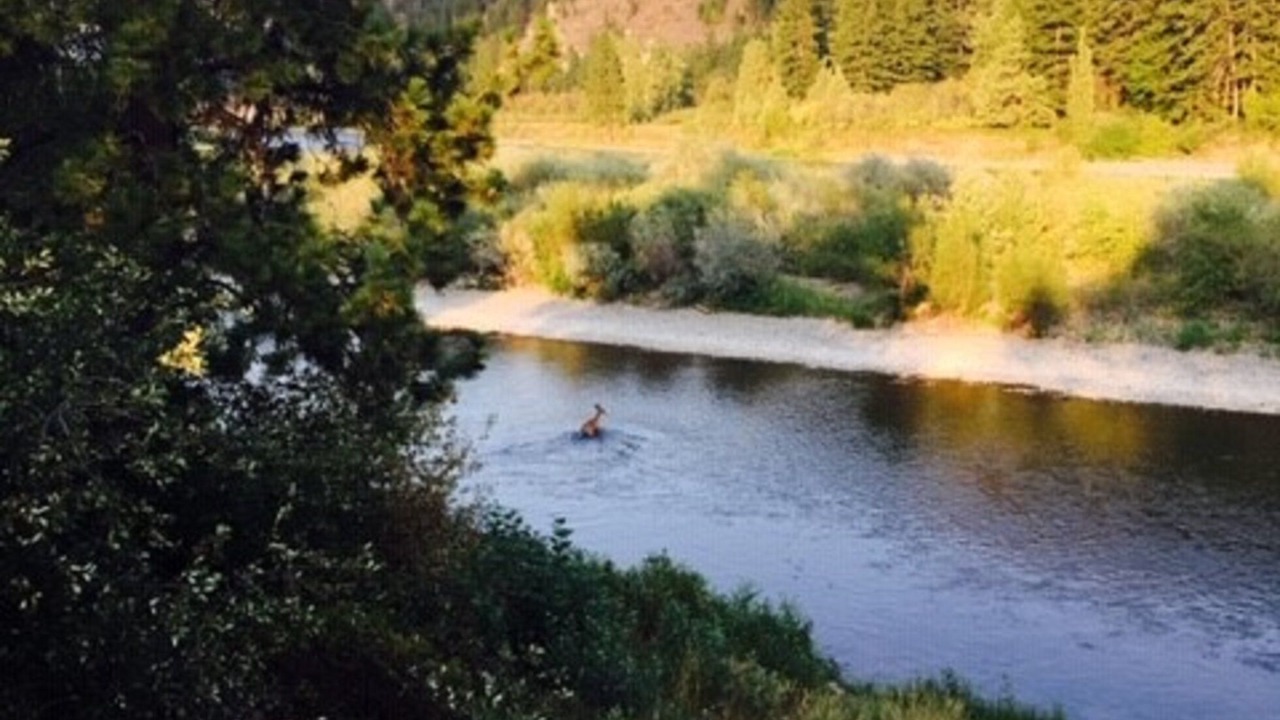 Photo of Others in Heart of Missoula