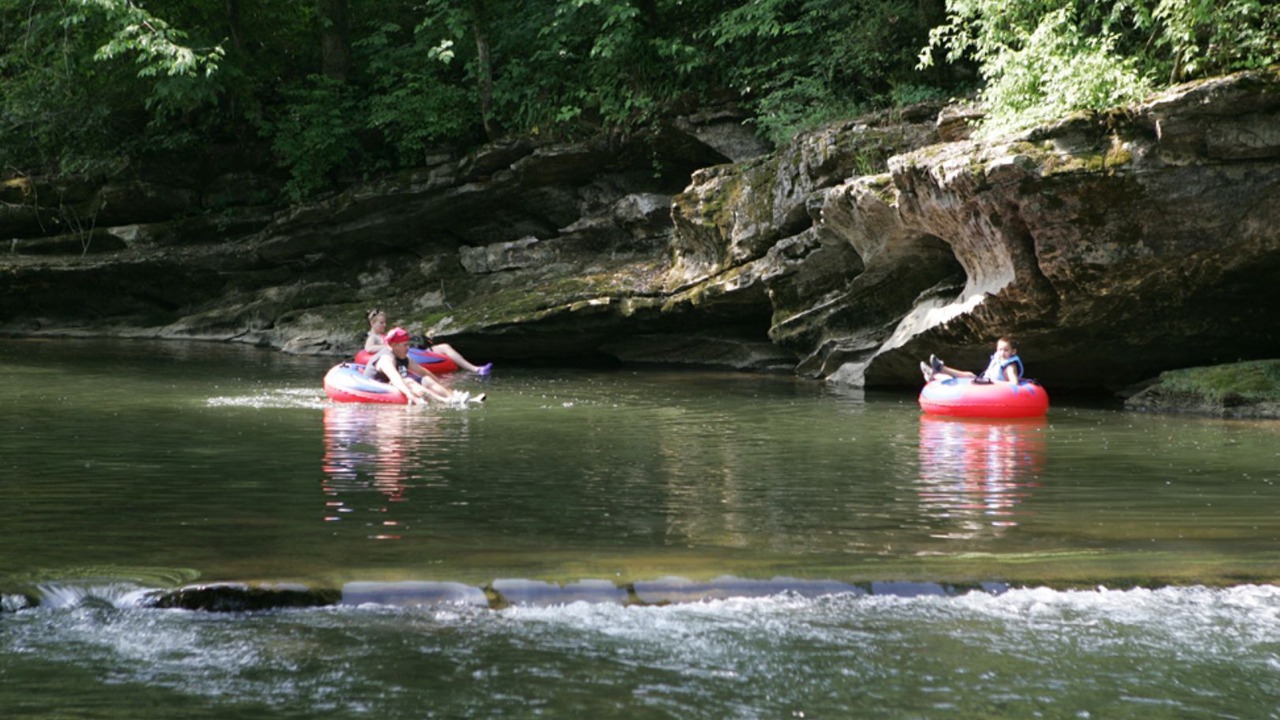 Photo of Others in Sevierville