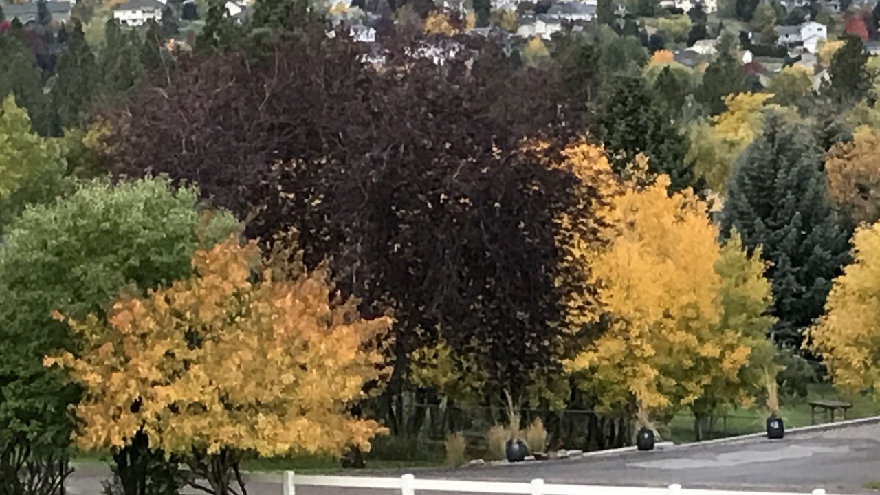 Photo of Outdoor in Miller Creek