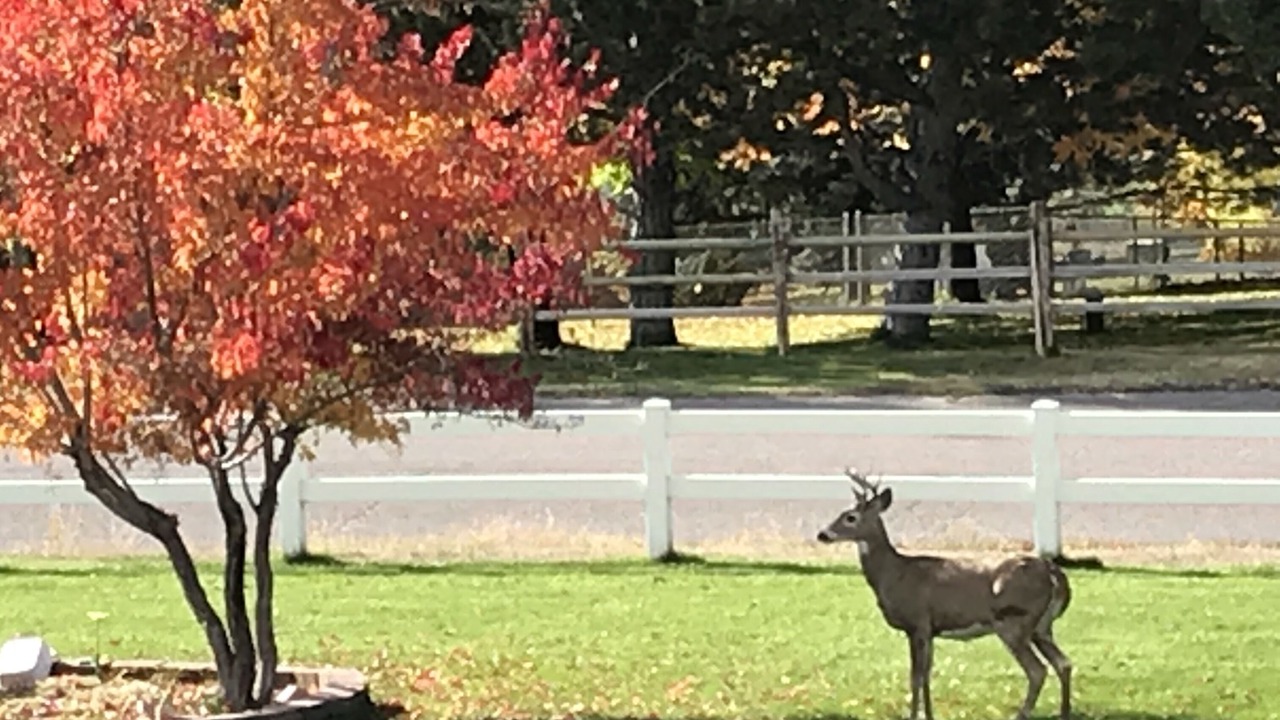 Photo of Outdoor in Miller Creek