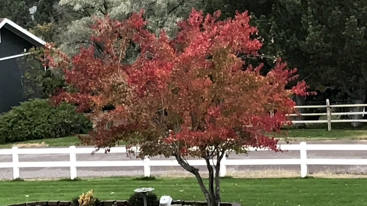 Photo of Outdoor in Miller Creek