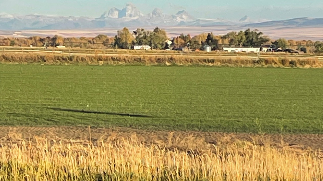 Photo of Others in St. Anthony