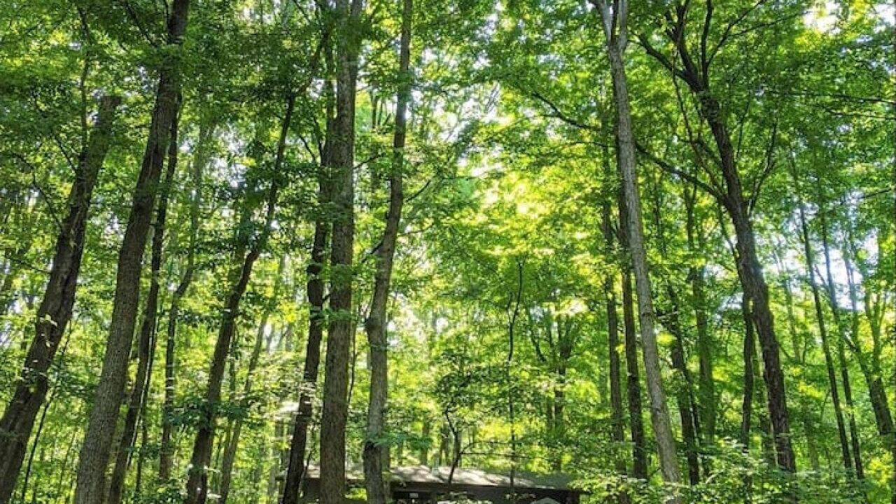 Photo of Outdoor in Berkeley Springs