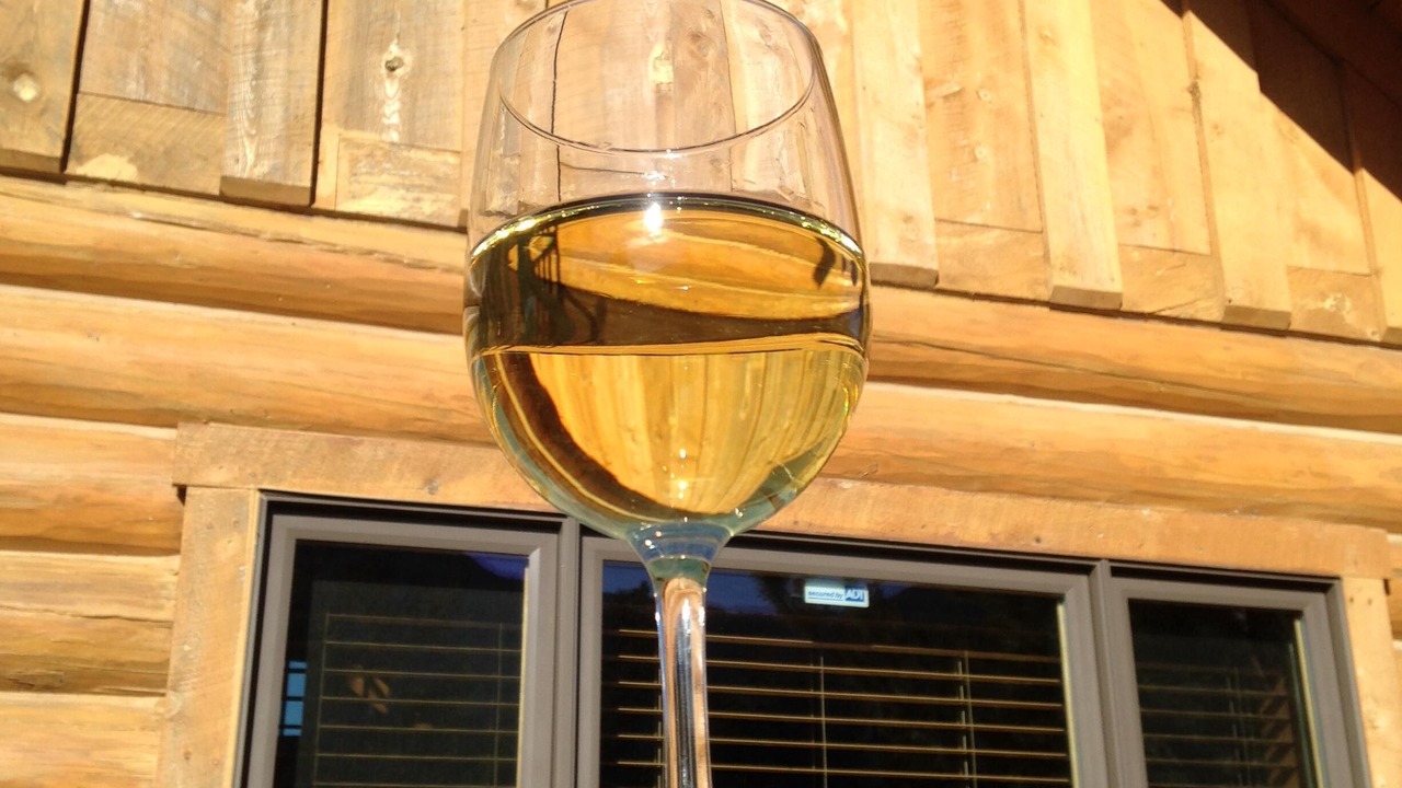 Photo of Others in Wineglass