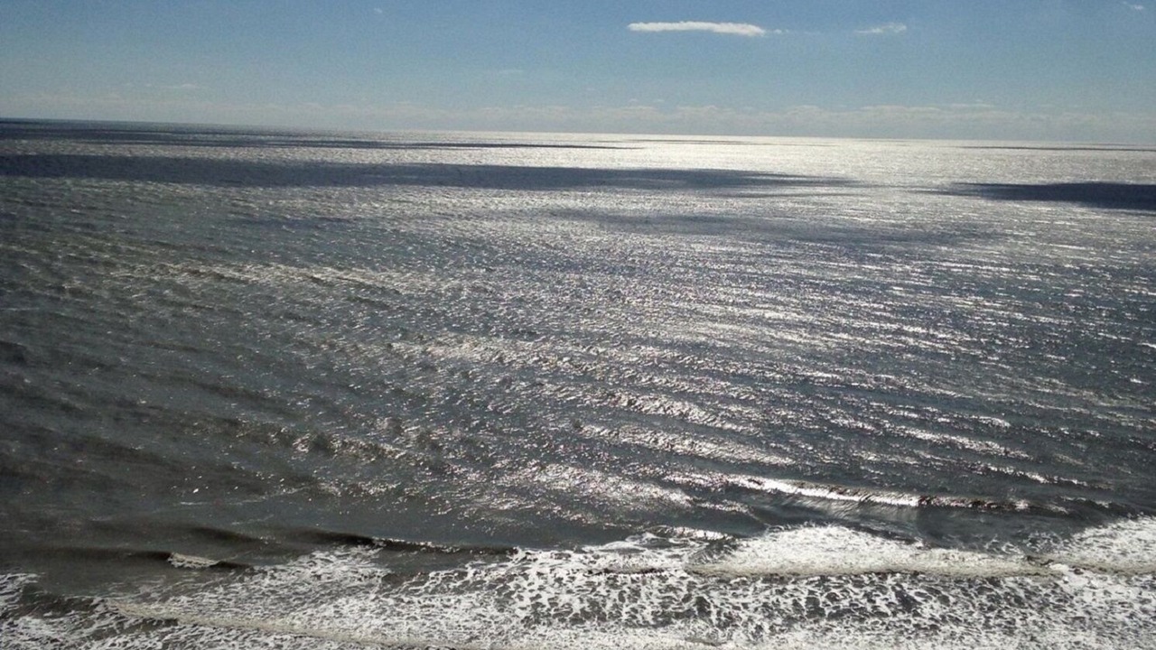 Photo of Others in Myrtle Beach