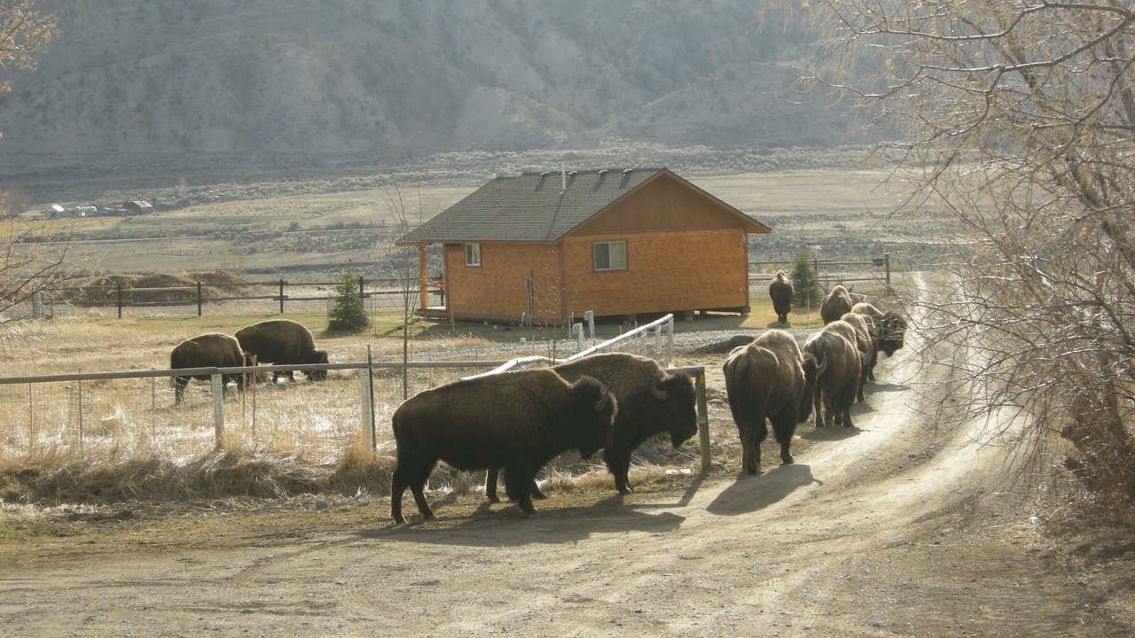 Photo of Others in Gardiner