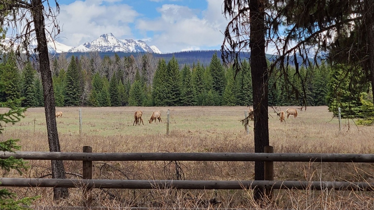 Photo of Others in Polebridge