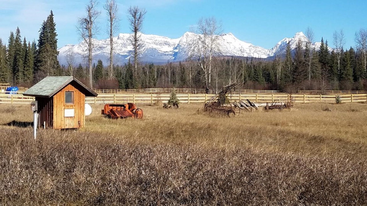Photo of Others in Polebridge