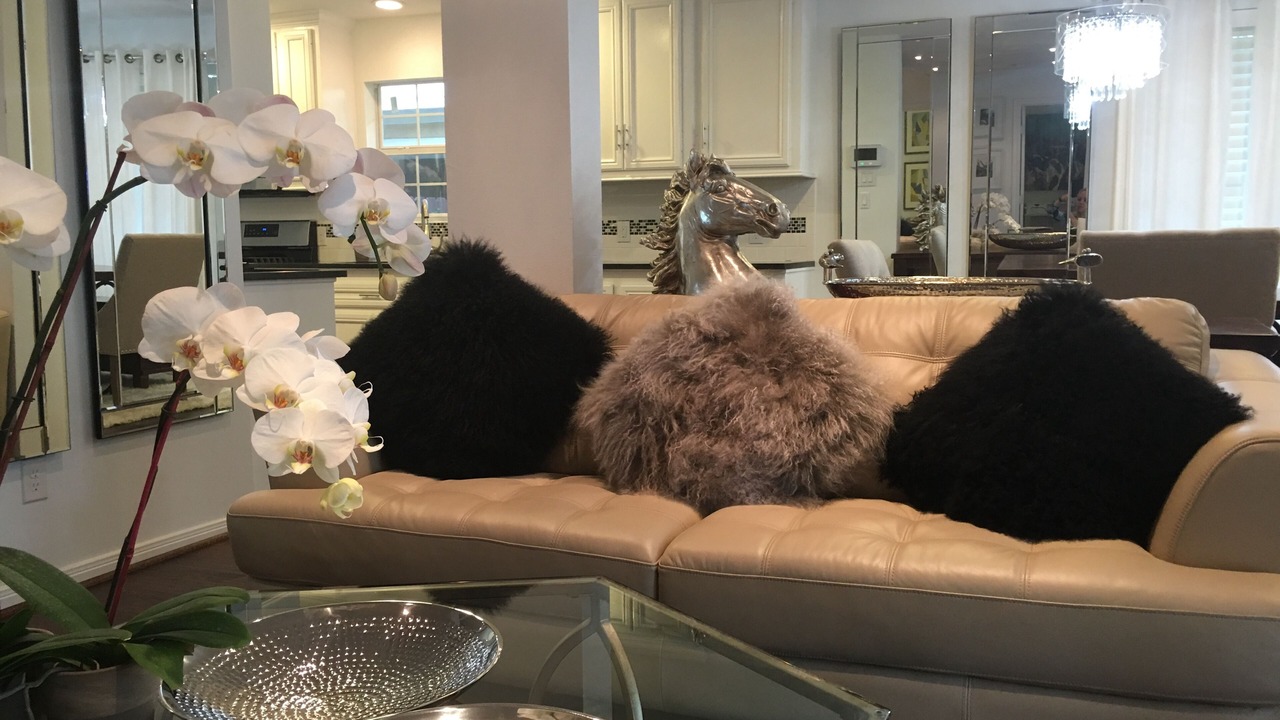 Photo of Livingroom in Woodland Heights