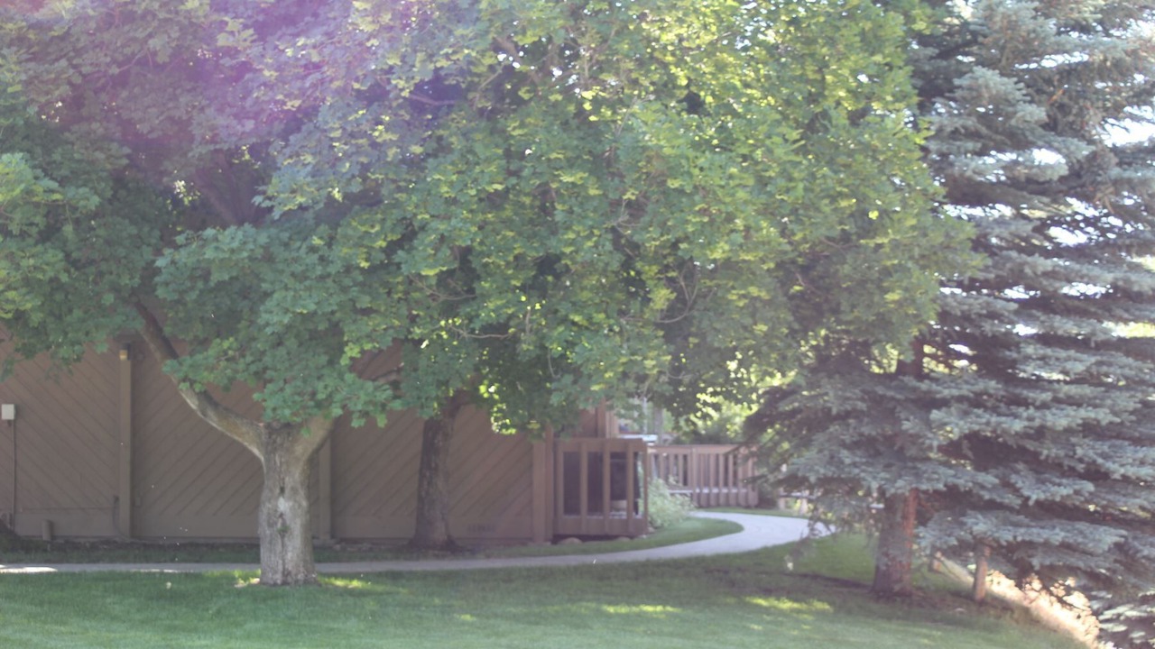 Photo of Others in Ketchum