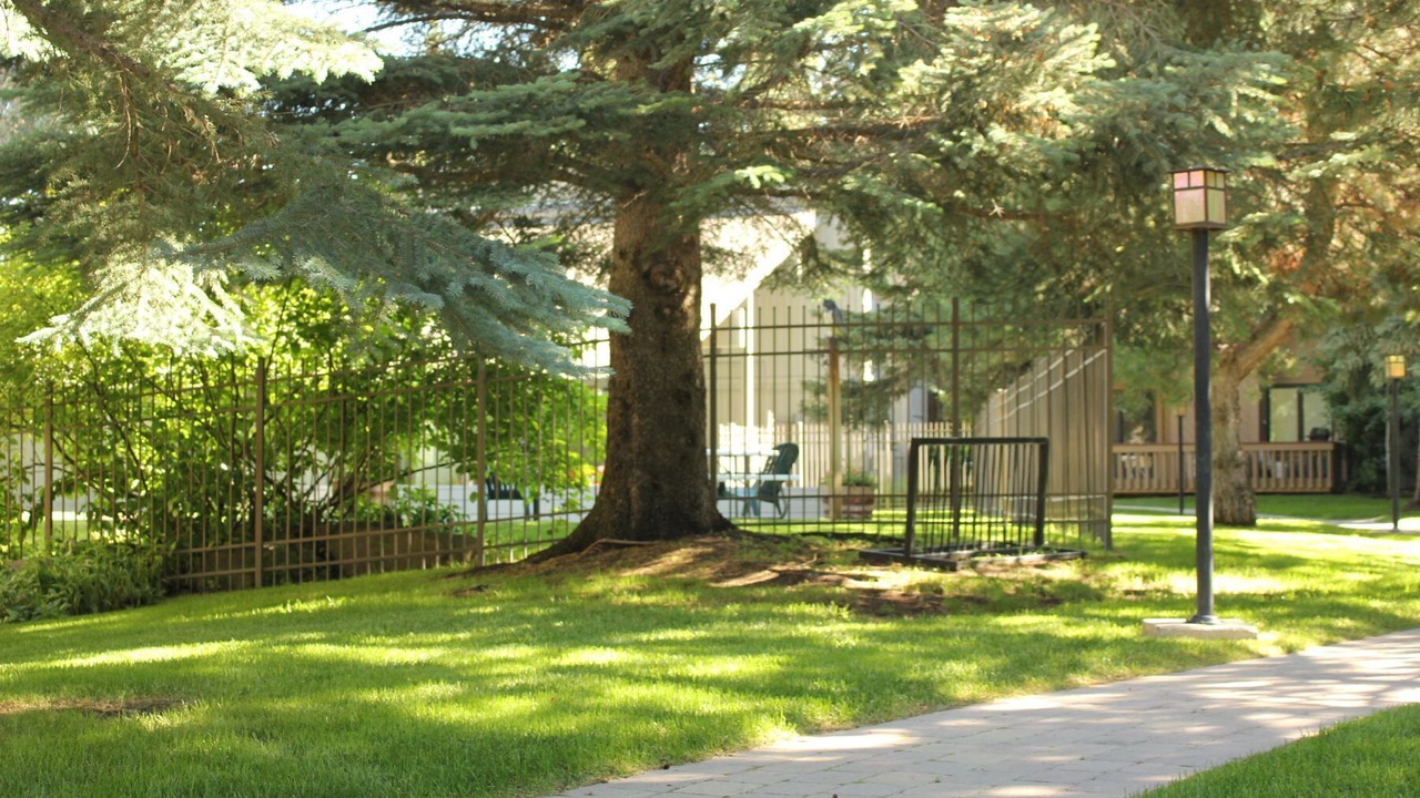 Photo of Others in Ketchum