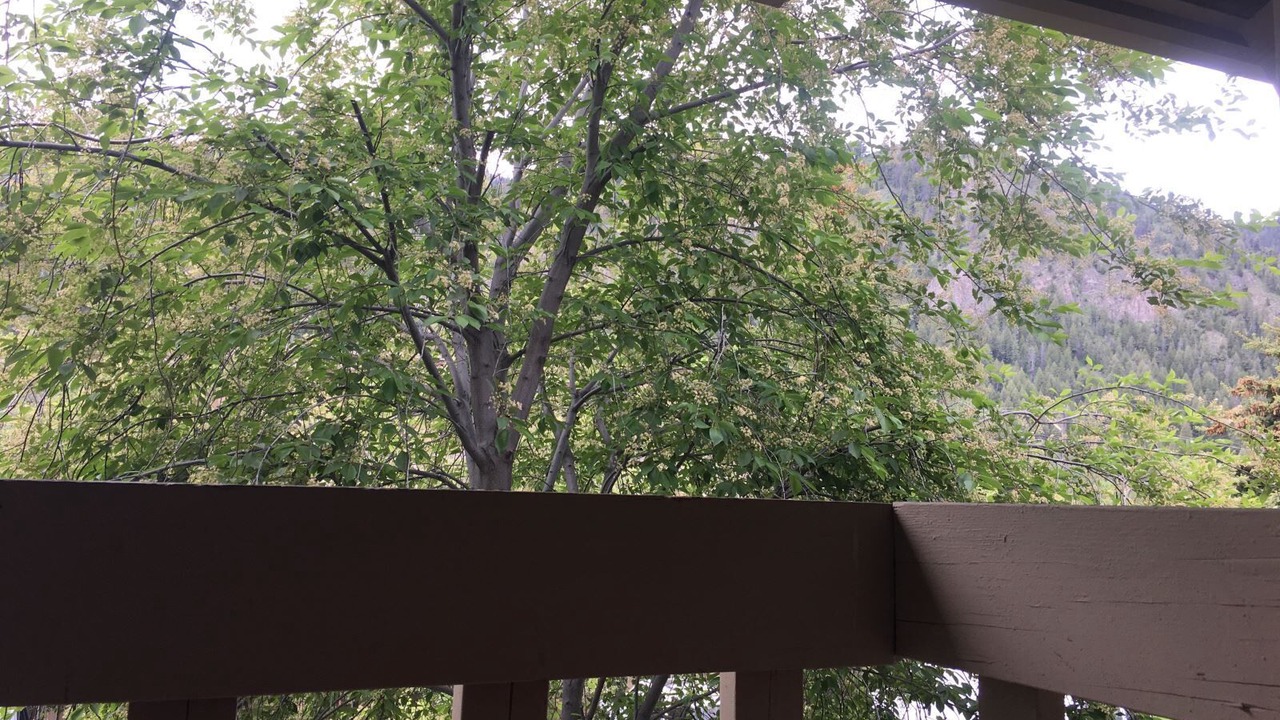 Photo of Patio Balcony in Ketchum