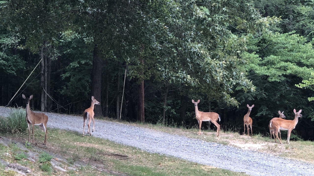 Photo of Others in Bowling Green