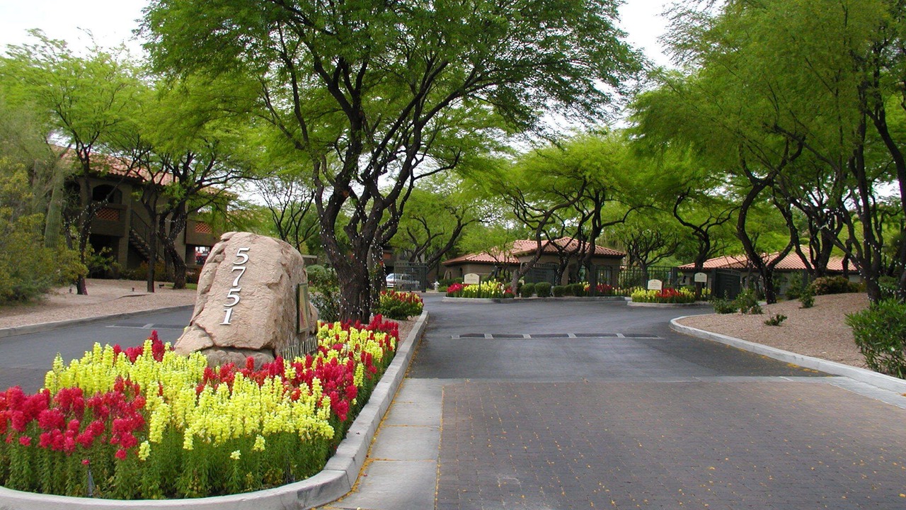 Photo of Others in Tucson
