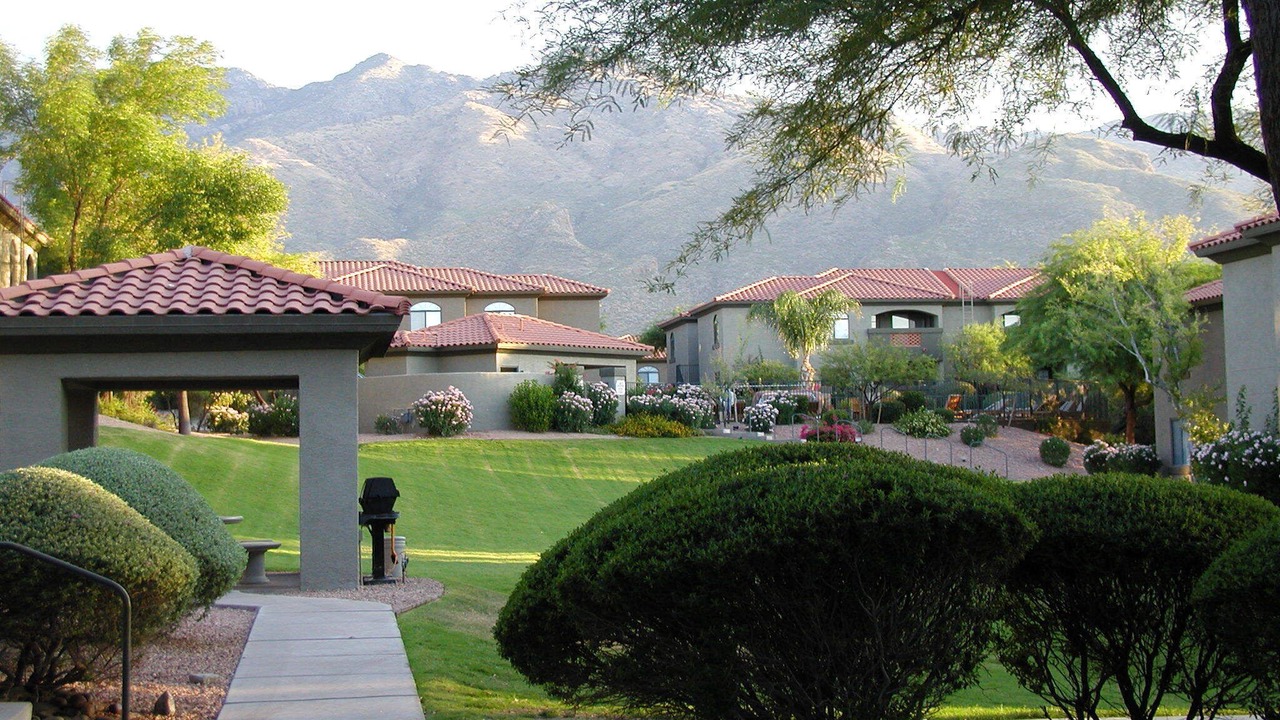 Photo of Others in Tucson