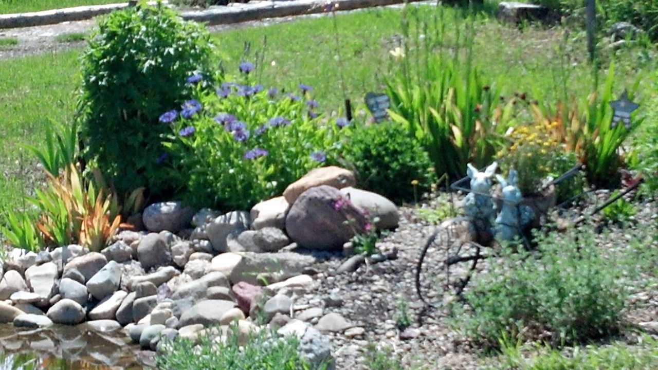 Photo of Outdoor in Babb